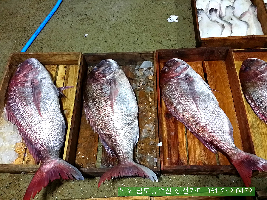 보교기획 이미지