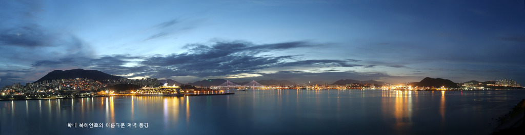 섬 전체가 캠퍼스인 세계 유일의 대학교.jpg | 인스티즈