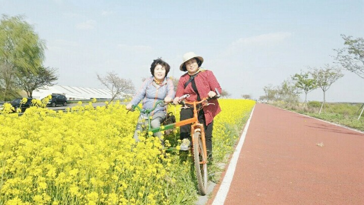 오성꽃농장 이미지