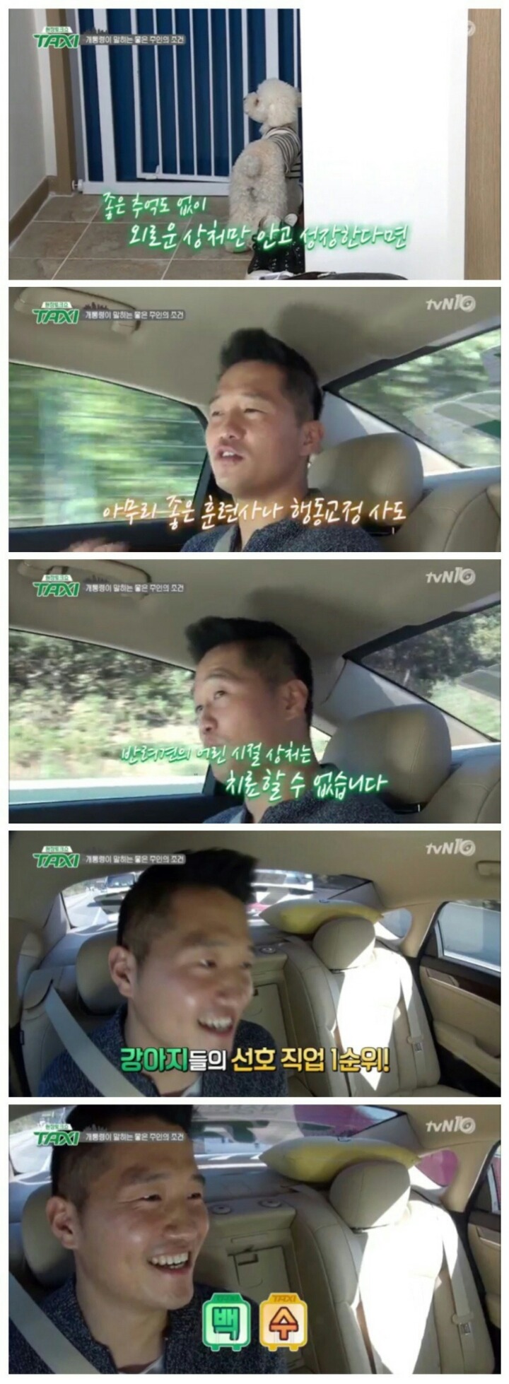 반려견을 키우면 안되는 사람들 | 인스티즈