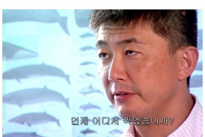 일본의 돌고래사냥 | 인스티즈
