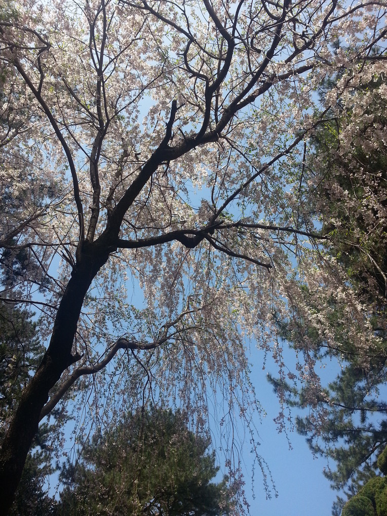 부산식물원 이미지