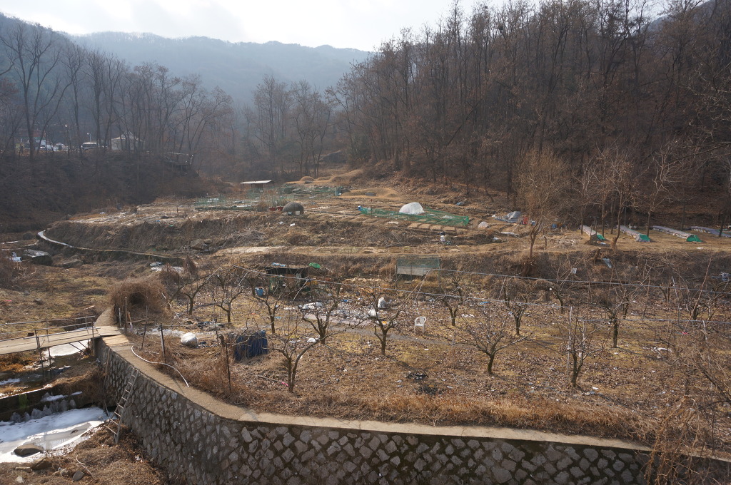 이리초등학교 이미지