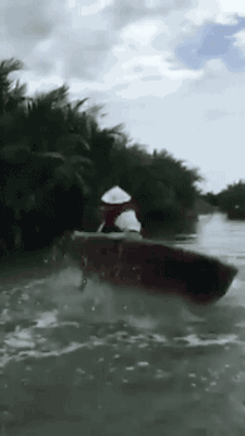 물들어오자 노젓는 LG전자의 모습.gif | 인스티즈
