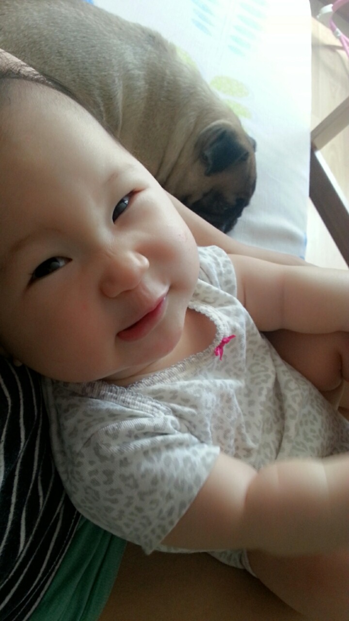 니아 이미지