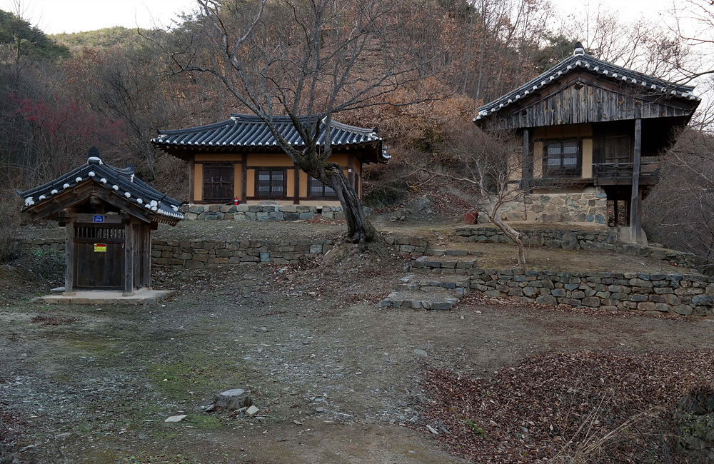 산수정 이미지