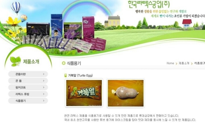 거북알의 진실 | 인스티즈