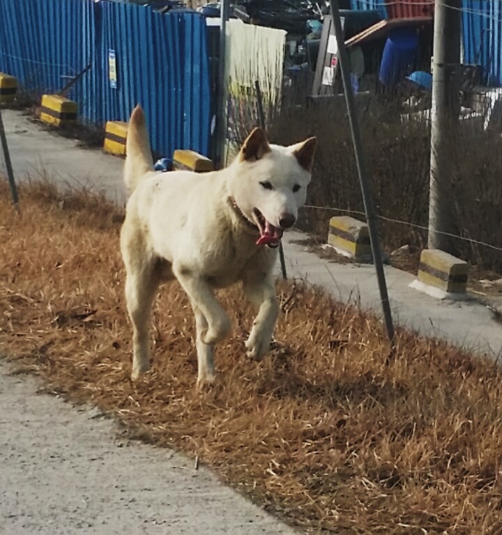 앞산으로 가는길 이미지