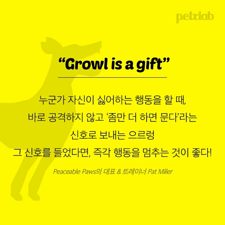 강아지는 왜 입으로 부는 바람을 싫어할까? | 인스티즈