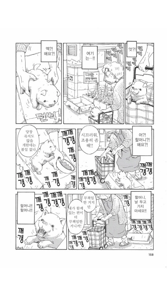 개를 주워오면 안되는 이유 | 인스티즈