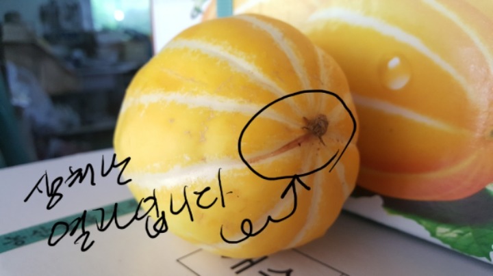 성주 이미지