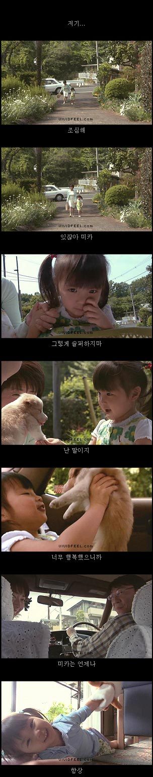 10번보면 10번 다 폭풍오열하는 이야기 [마리모이야기] | 인스티즈
