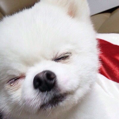 띵동 이미지