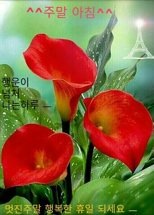 즐거운 이미지
