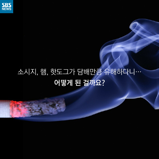 소시지는 암을 유발한다(?) | 인스티즈