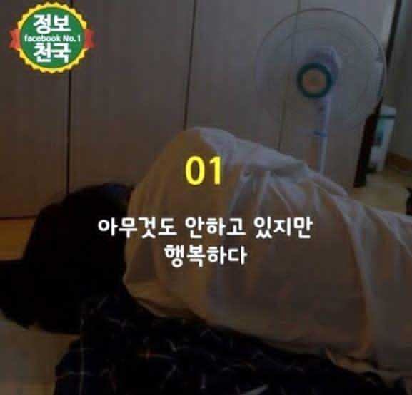당신은 집순이 집돌이입니까.jpg | 인스티즈
