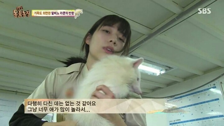 힘들어하는 여성 동물 사육사..jpg | 인스티즈