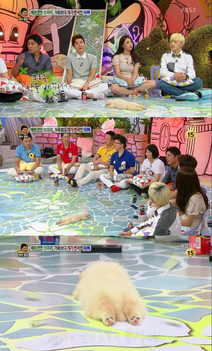 방송녹화 도중에 잠들어버리는 게스트.jpg (안녕하세요) | 인스티즈