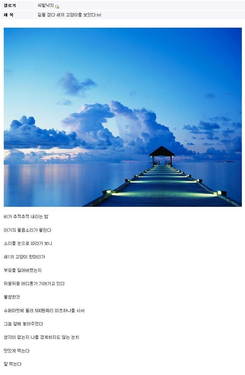 믿고보는 낙지.JPG | 인스티즈