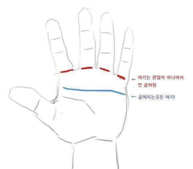 손에 대한 충격적인 사실 | 인스티즈