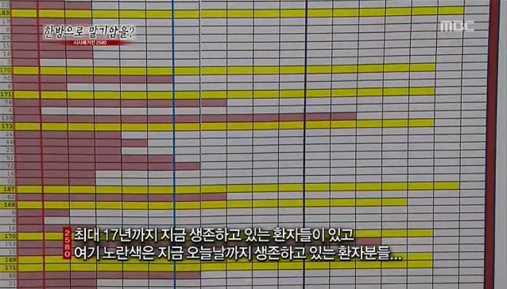 넥시아 이미지
