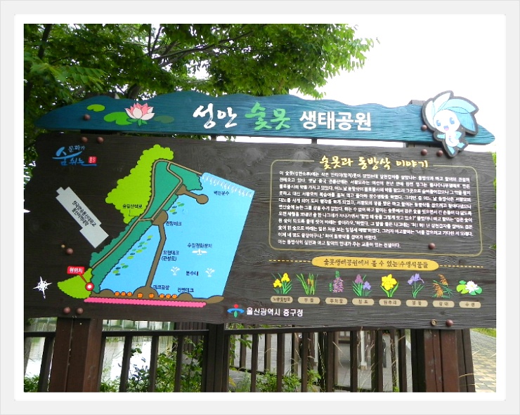 장암야영장 이미지