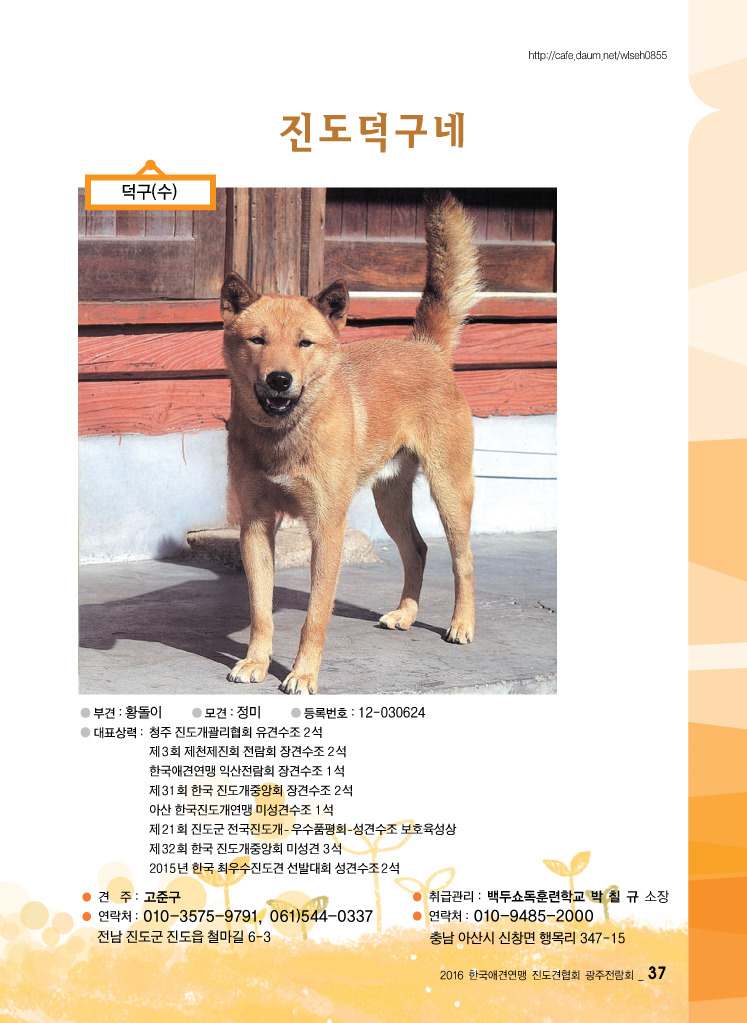 칼라광고 이미지