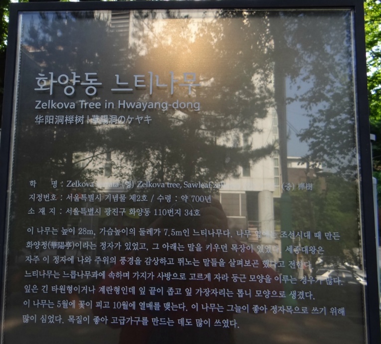 화양정 이미지