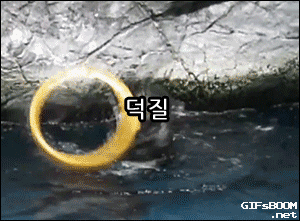 인생이 지치고 힘들때 보는 짤 | 인스티즈