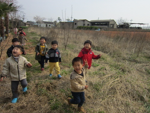 민들레수선 이미지