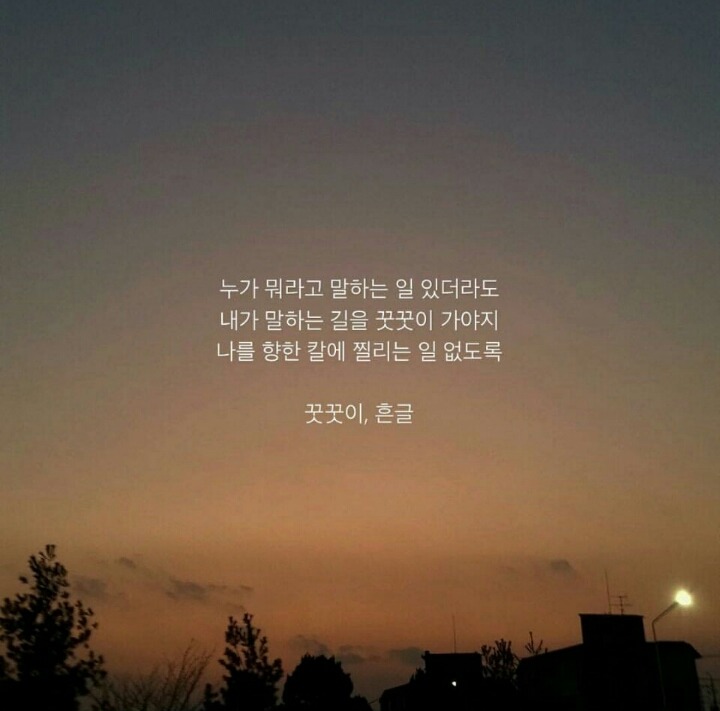 다은 이미지