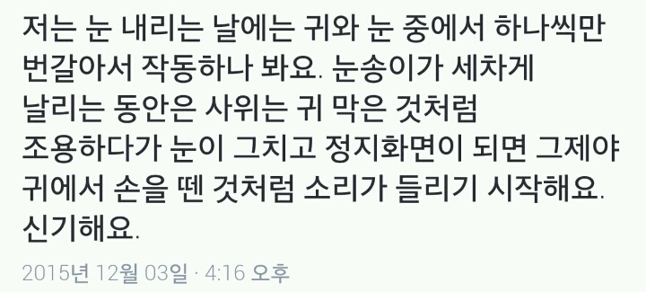 눈 내리는날 조용한 이유 | 인스티즈