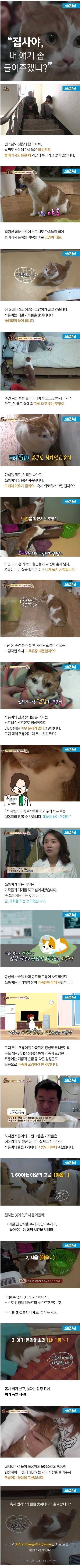 집사야 내 얘기좀 들어주겠니? | 인스티즈
