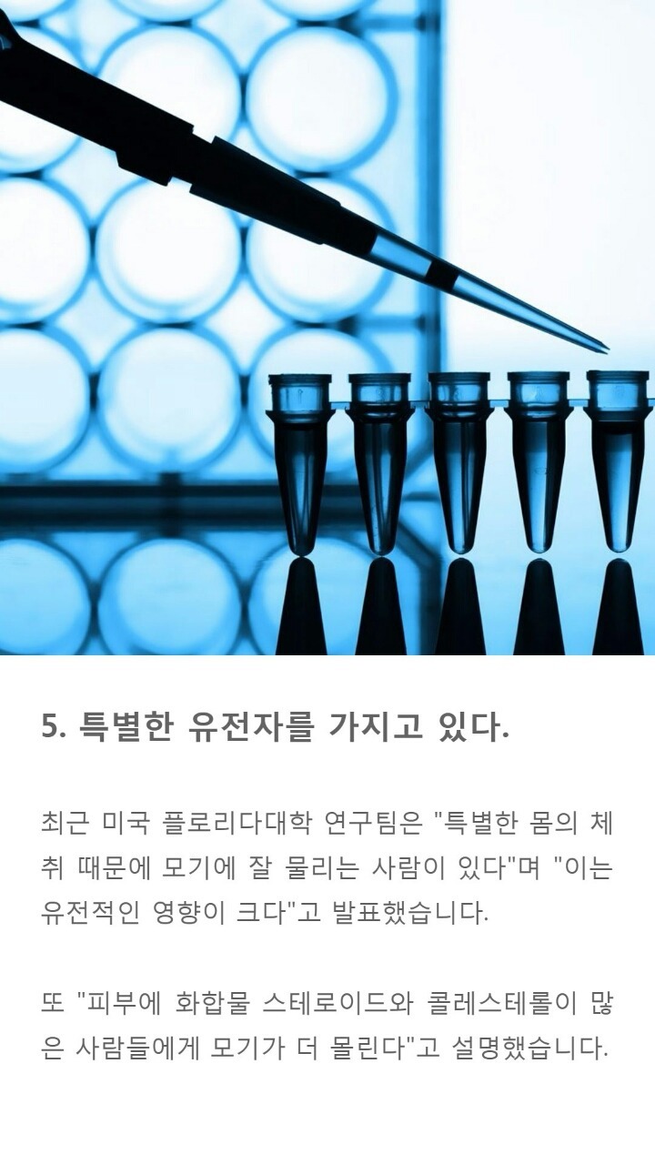모기에게 잘 물리는 사람들 특징 9가지 | 인스티즈