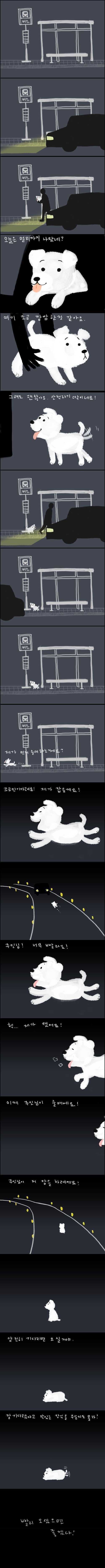 당신이 강아지를 버리게 된다면....jpg | 인스티즈