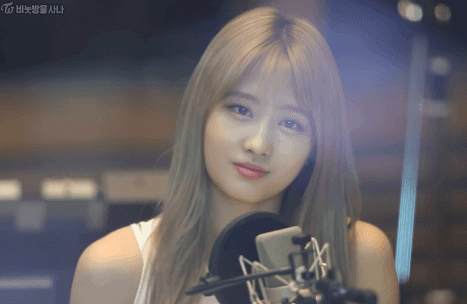 일본에서 온 복숭아 모모 | 인스티즈
