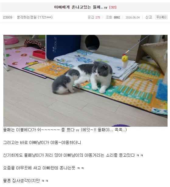 아빠에게 혼나고있는 둘째..ㅠ | 인스티즈