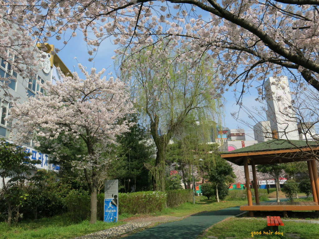 광신고등학교 이미지