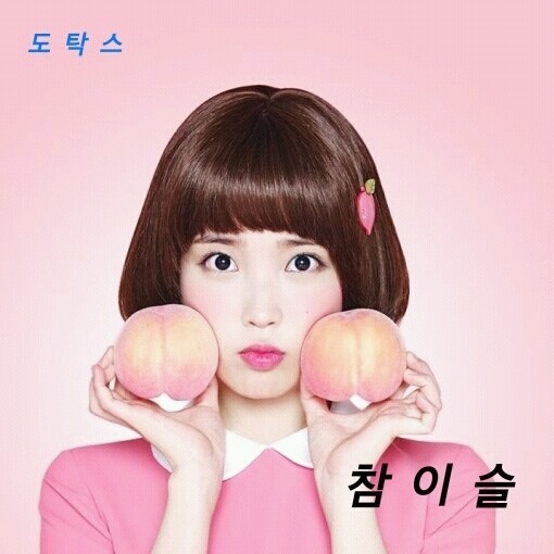 강원도 강아지의 목줄 위엄 | 인스티즈