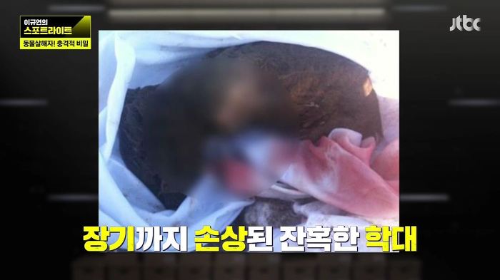 개 50여마리를 담뱃불로 지지고 던지고 매질해 살해한 남고생 7명.jpg | 인스티즈