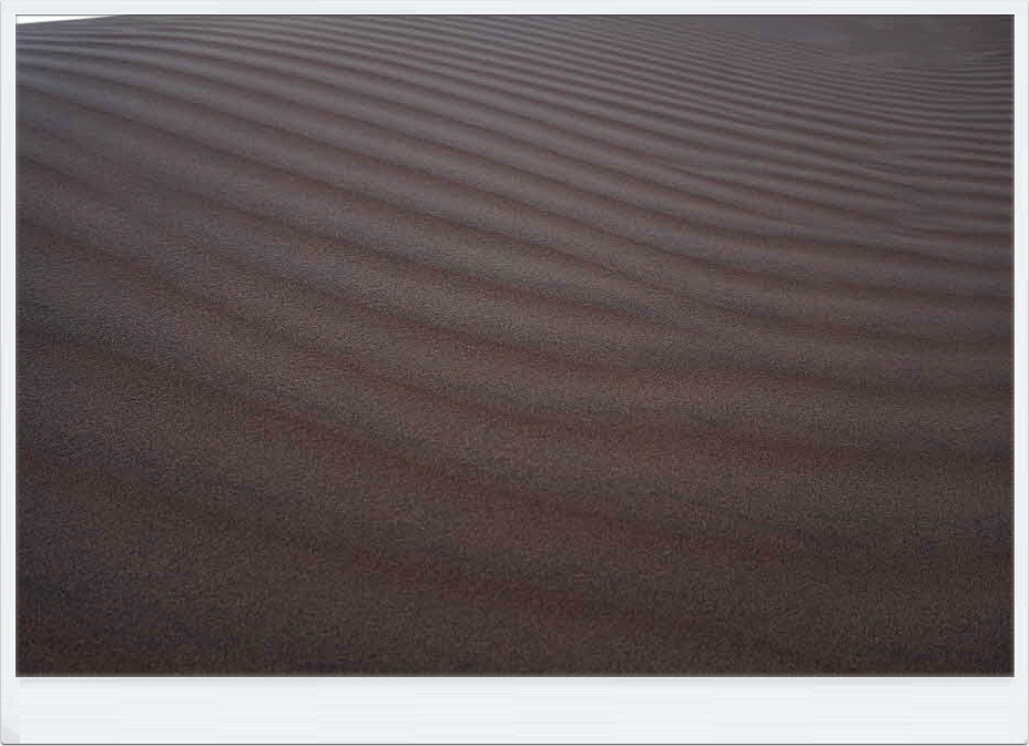 나미브(NAMIB) 이미지