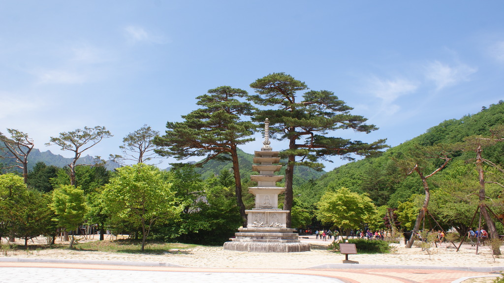 (주)금강송 이미지