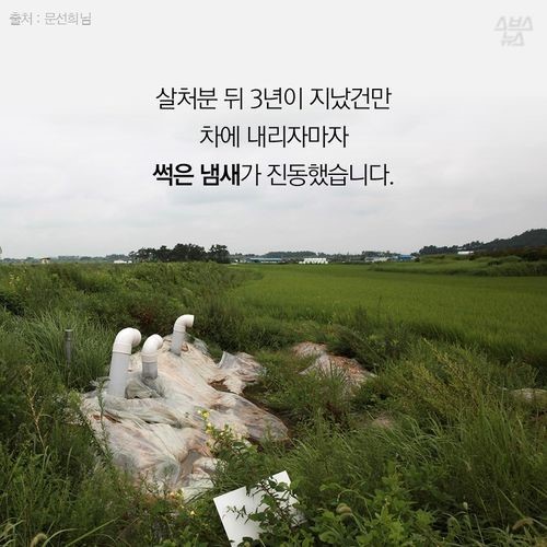 우리가 묻어버린 이야기 | 인스티즈
