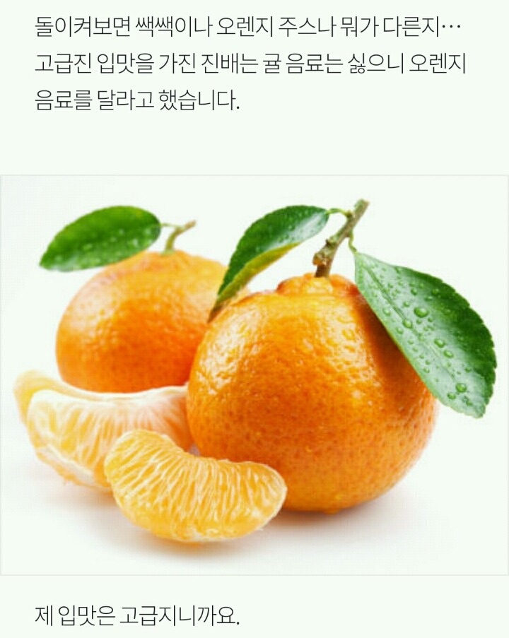 돼지 발정제를 먹어봤습니다 | 인스티즈