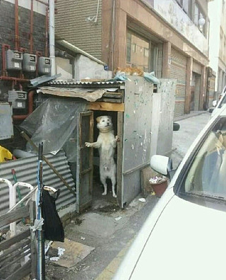 여기다 이미지