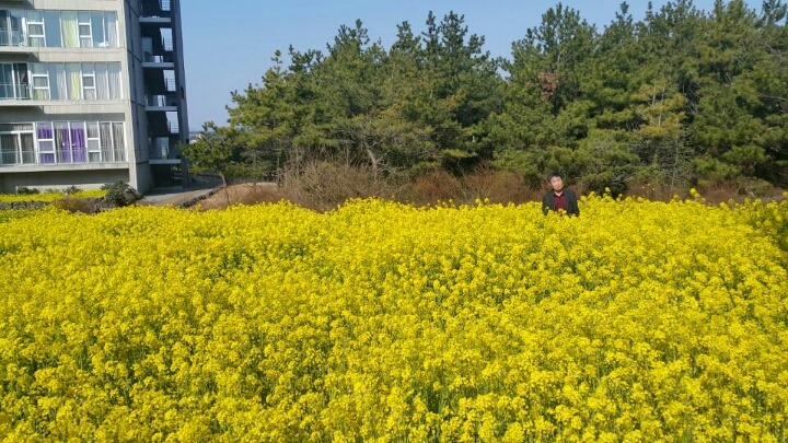 뚜뚜루 이미지
