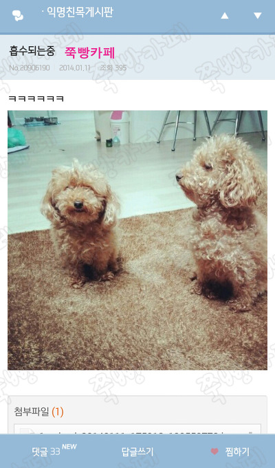 설렘 이미지