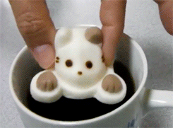 시룸주의] 고양이 녹는 모습 | 인스티즈