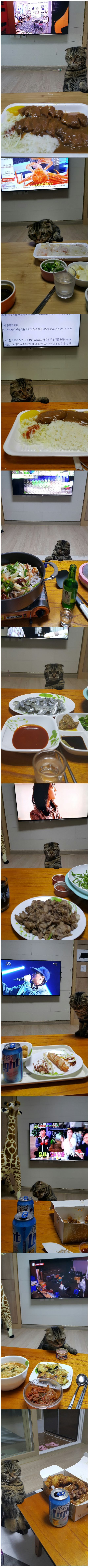 디시인의 매의 눈빛 자취방...동거녀..jpg | 인스티즈