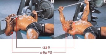 벤치 이미지
